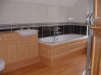 Bathroom Alterations - Modern Portfolio